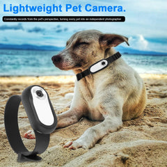 HD 1080P Mini Body Cam No WiFi Needed Dog Cat Pet Camera Collar Pet Sport Camera Video Records with 32G Card for Indoor/Outdoor